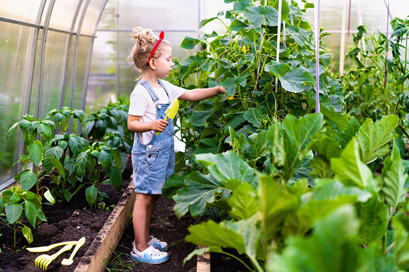 Sydney Edible Garden Trail