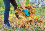 May gardening - Adding Autumn leaves to the compost