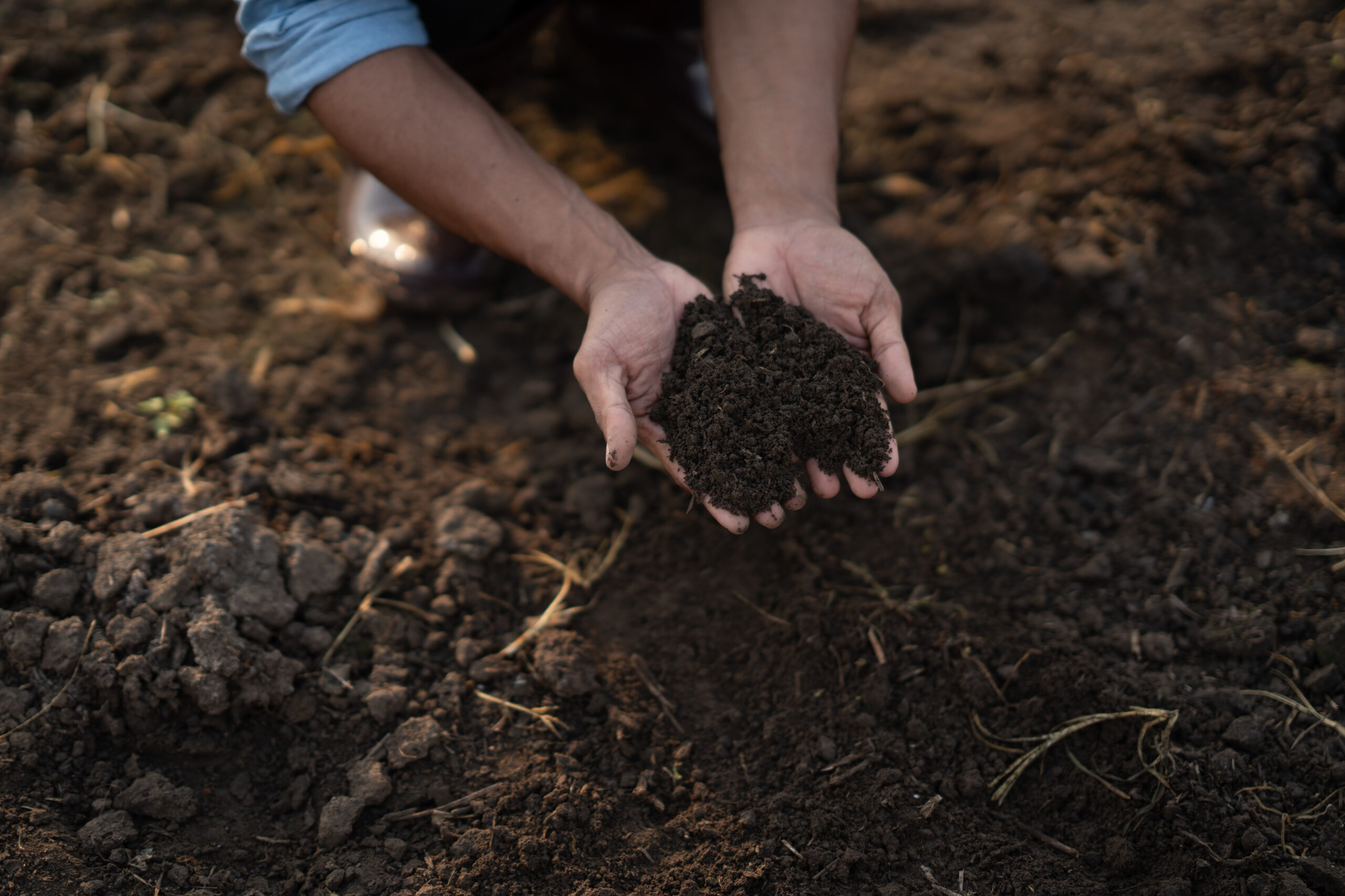 Examining soil