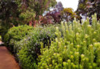 Gardening in Australia