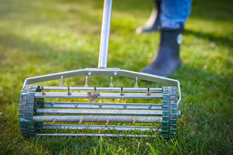 Aerating a lawn with a spiked roller