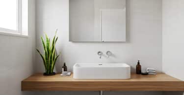 The Best 10 Plants for Humid, Low-Light Bathrooms