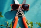 Secateurs wearing sunglasses