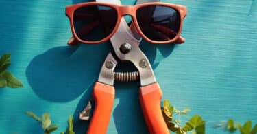 Secateurs wearing sunglasses
