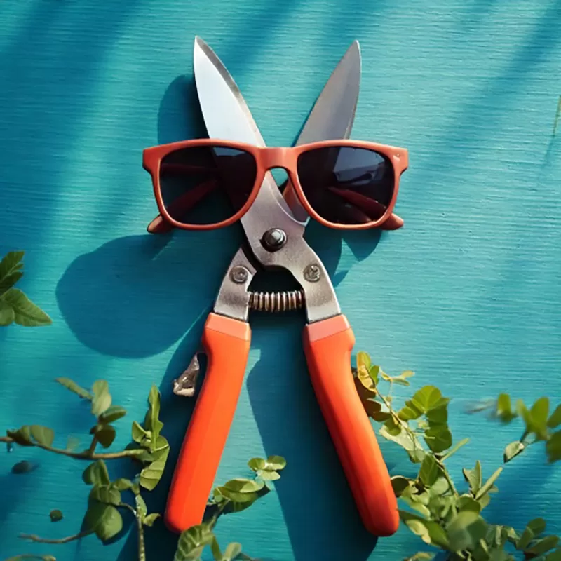 Secateurs wearing sunglasses