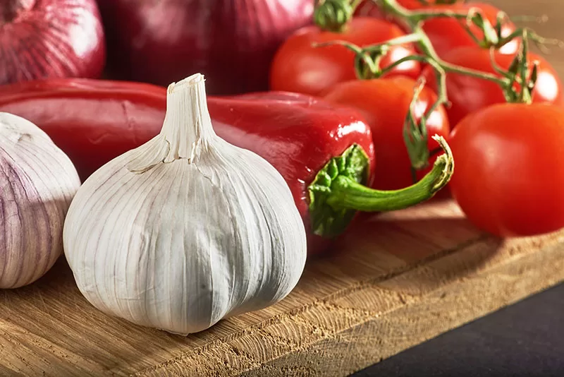 Companion planting combo - Garlic, tomatoes, capsicums