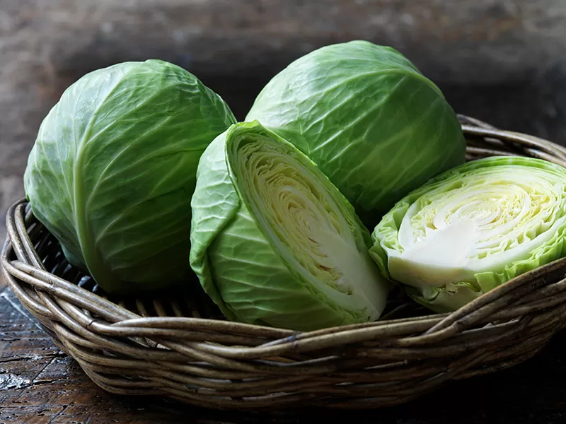 Cut cabbage in a bowl